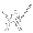 Crusader  
