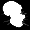 Enigmatic Engulfer