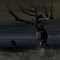 Swamps